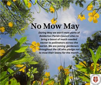  - No Mow May