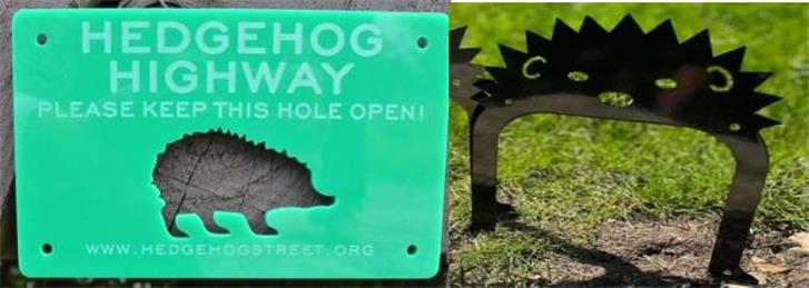  - How we can help hedgehogs
